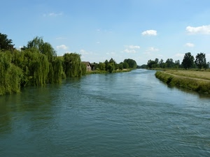 fiume, acqua, alberi, nuvole, cielo, verde, rive, riflessi