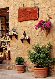 insegna, bottiglie, piante, fiori, vasi, negozio, verde, muro, mensole, vino, cornucopia, enoteca, scalini, pietra
